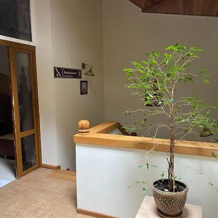 відпочинковий комплекс,міні старий дворик Bed and Breakfast Λβιβ